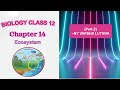 Biology Class 12 || Ch 14 || Ecosystem || NCERT/NEET || [Hindi explain]|| [Part 2]