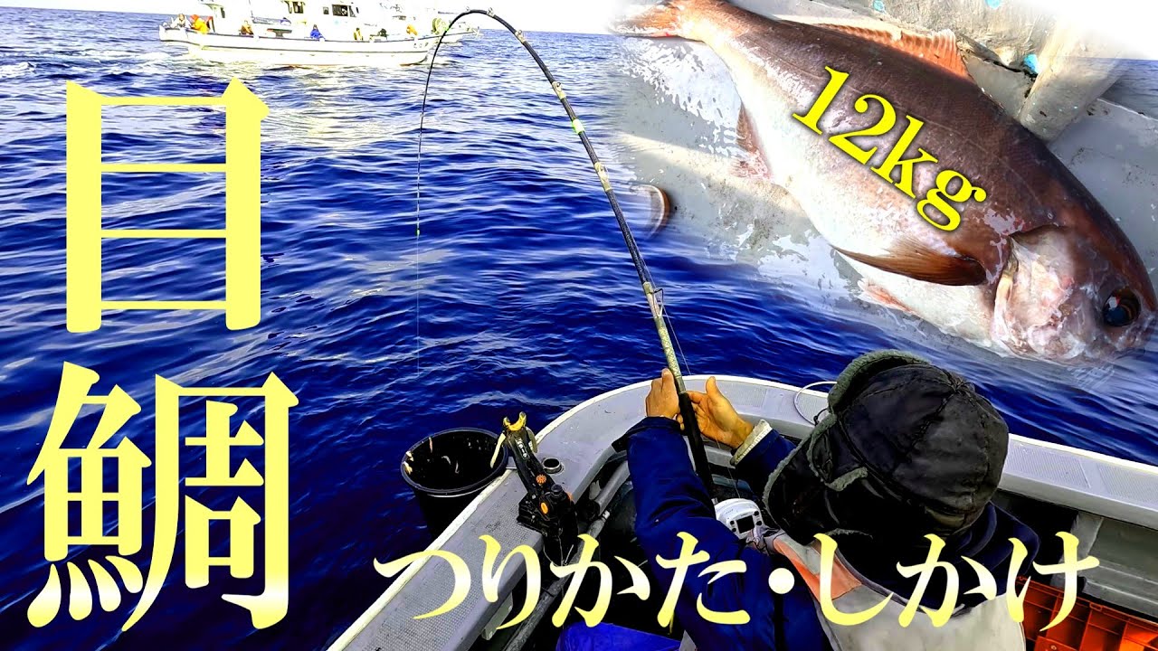 メダイのコマセ釣り解説動画～実践も～