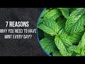 Health Benefits Of Mint Leaves | Why You Need To Have Mint Leaves Every day|