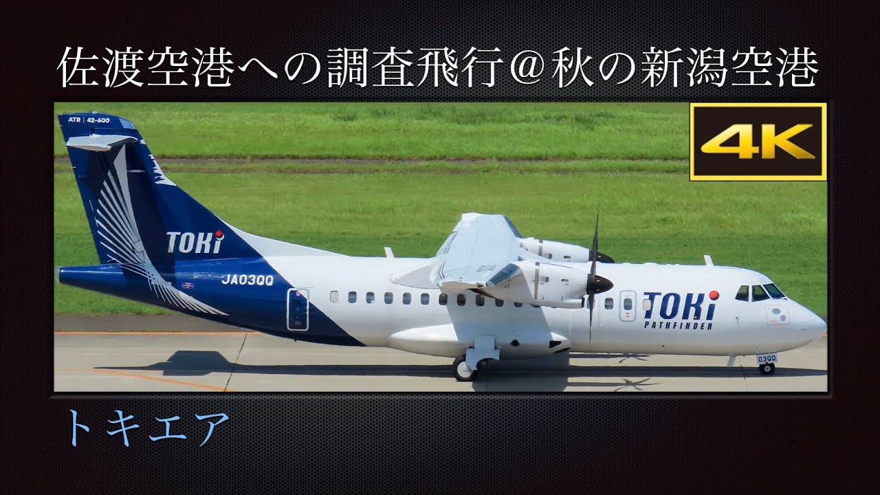 4K 佐渡空港への調査飛行で、秋の新潟空港に飛来する トキエア(Toki