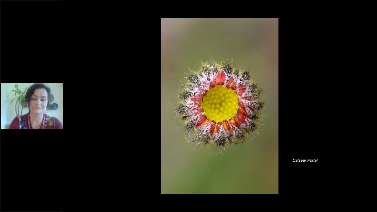 Featured Keynote Speaker  |  Tina Claffey