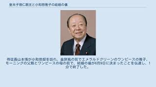 皇太子徳仁親王と小和田雅子の結婚の儀