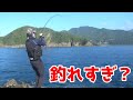 ショアジギングロッドでエサ釣りしたら高級魚が連発した！