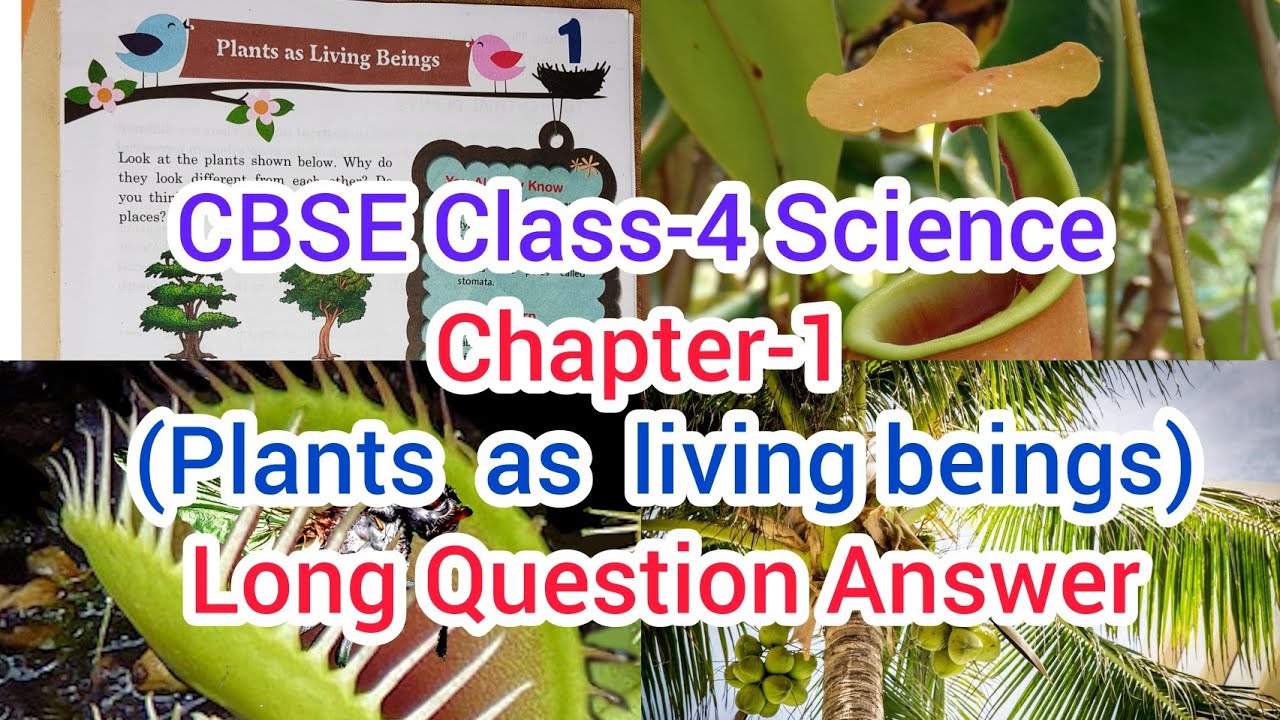 CBSE Class-4 Science Chapter-1(Plants as living beings)long question answer