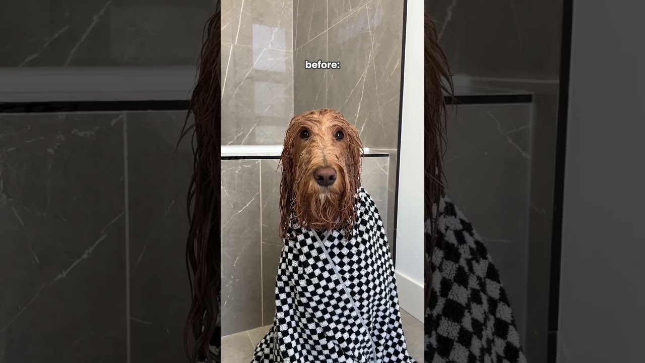 When The Fluff Is Fluffing
