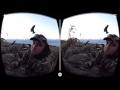 VR Hunting 360  Virtual Reality Google Cardboard 3D  SBS 1080p