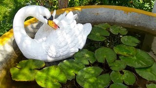 Floating Swan for Lotus Pond || Garden accessories and decor||Garden decoration ideas