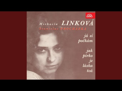 Michaela Linková — Můžeš být jen sen (Sonnenschein im Blut)