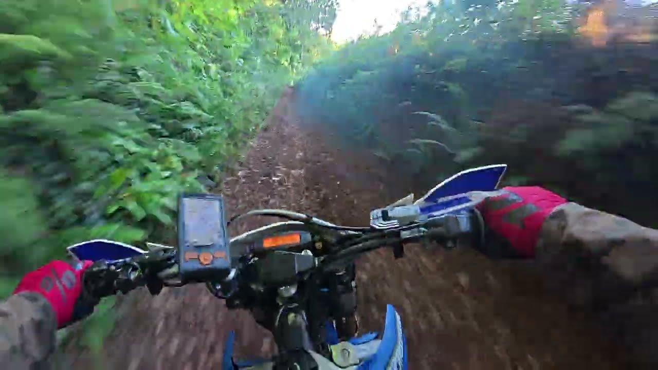 Tanyard Lane, Ipplepen GRM:5596 Devon Green Lanes E-W