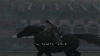 Shadow Of The Colossus - Agro In The Area Of 15Th Colossus