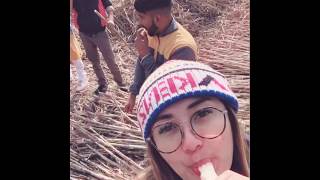 Soffiemarchue And Gautam Nain Main Di Sawah