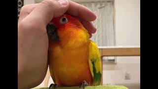 The magical moment he realizes the hand belongs to friend not foe