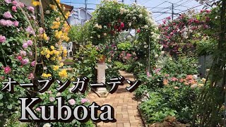 オープンガーデン クボタ 5月限定のバラ園 Open garden kubota
