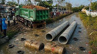 +Great! Perfect New Project!! Complete100% Delete Small Canal By Bulldozer D61P & Dump Truck 35T