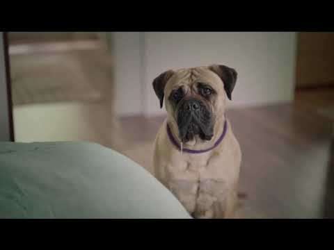 Gain Ultra Flings Commercial "Blanket" (2020, 30sec)