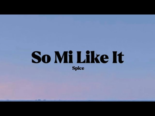 Spice - So Mi Like It [Lyrics]