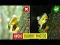 10 Tips to Avoid Blurry Photos with Nikon Coolpix B500 (How to Click Sharp Photos) | Sonika Agarwal
