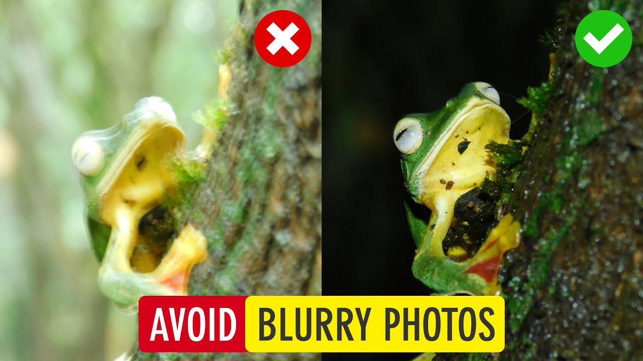 10 Tips to Avoid Blurry Photos with Nikon Coolpix B500 (How to Click