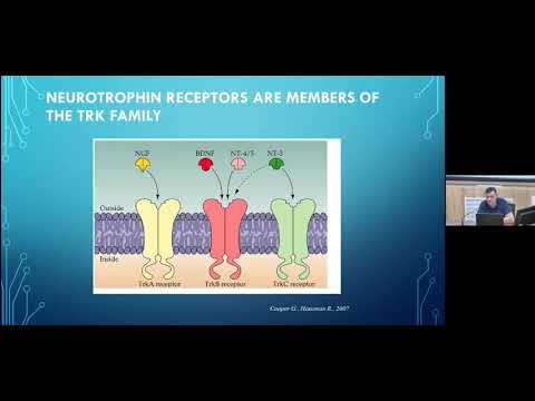 T12 Dr. Mikhail Stepanichev "Signal Transduction in Neurons" IHNA/iBRAIN