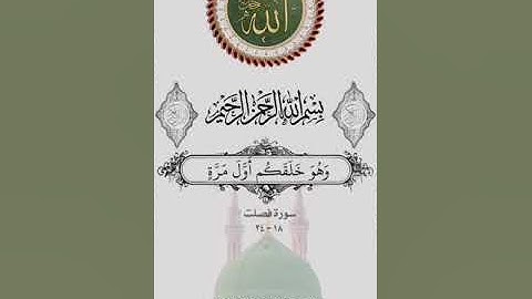 تلاوة خاشعة للعلامة علي مسعود