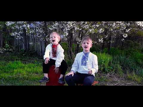 Ой у лузі червона калина Вознюк Марк і Дамір