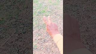 Main tera Rakhawala 💯 #trending🔥 #new #shortreels