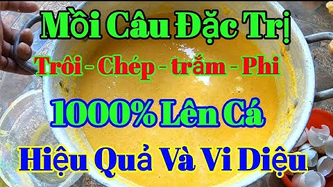 🎣Fishing | 5 Nguyên Liệu Làm Mồi Câu Cá Trôi, Chép, Trắm, Phi, Đã Thử nghiệm Hiệu Quả Và Vi Diệu.
