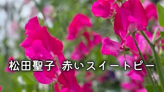 松田聖子 赤いスイートピー (歌詞入り) - YouTube