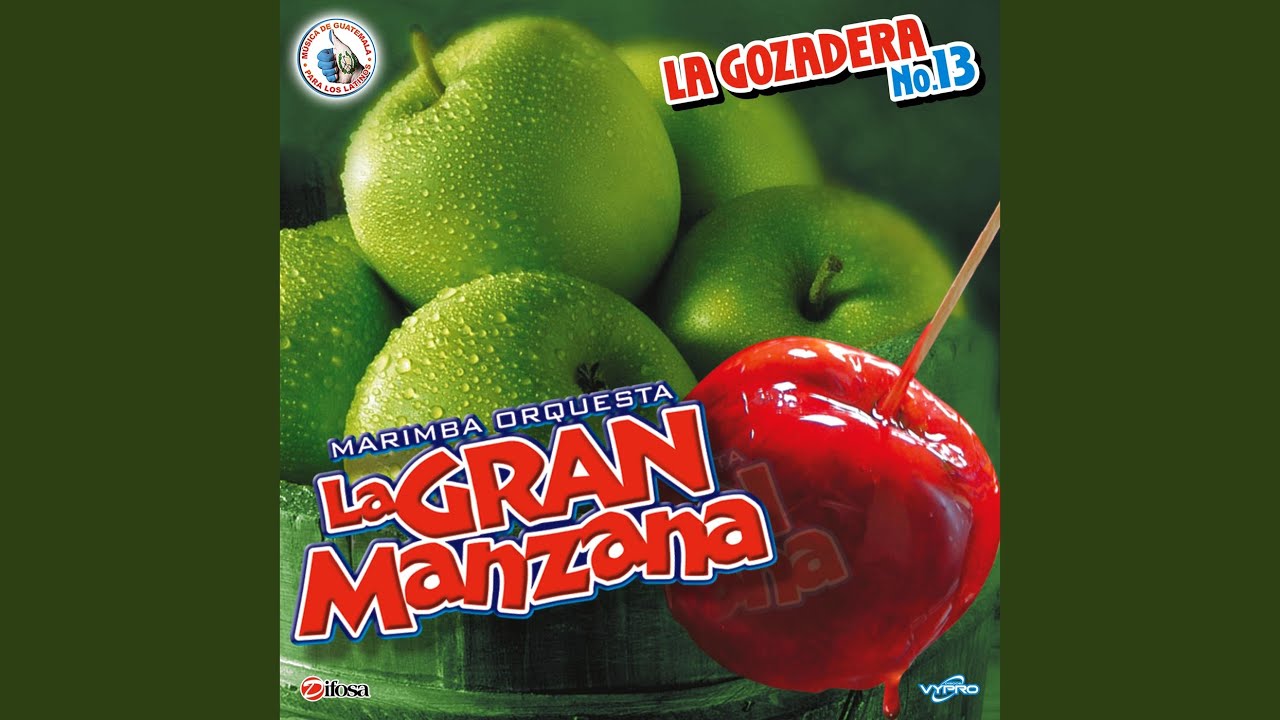 Mix de Cumbias de Siempre 2: Para Poder Llegar a Ti / La Carta / El Amor No Llega Dos Veces