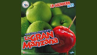 Video thumbnail of "Marimba orquesta la Gran Manzana - Mix de Cumbias de Siempre 2: Para Poder Llegar a Ti / La Carta / El Amor No Llega Dos Veces"