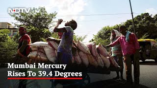 Weather Office Warns Of Heatwave, Mumbai In Focus screenshot 1