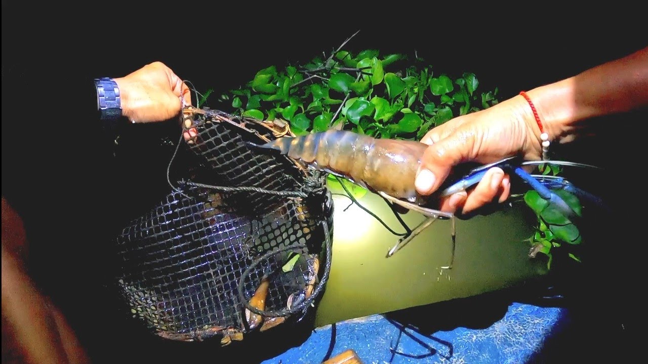 ยามลอบดักกุ้งแม่น้ำ