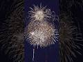 【花火】 #hanabi #japan #firework #お母さん #じいじ