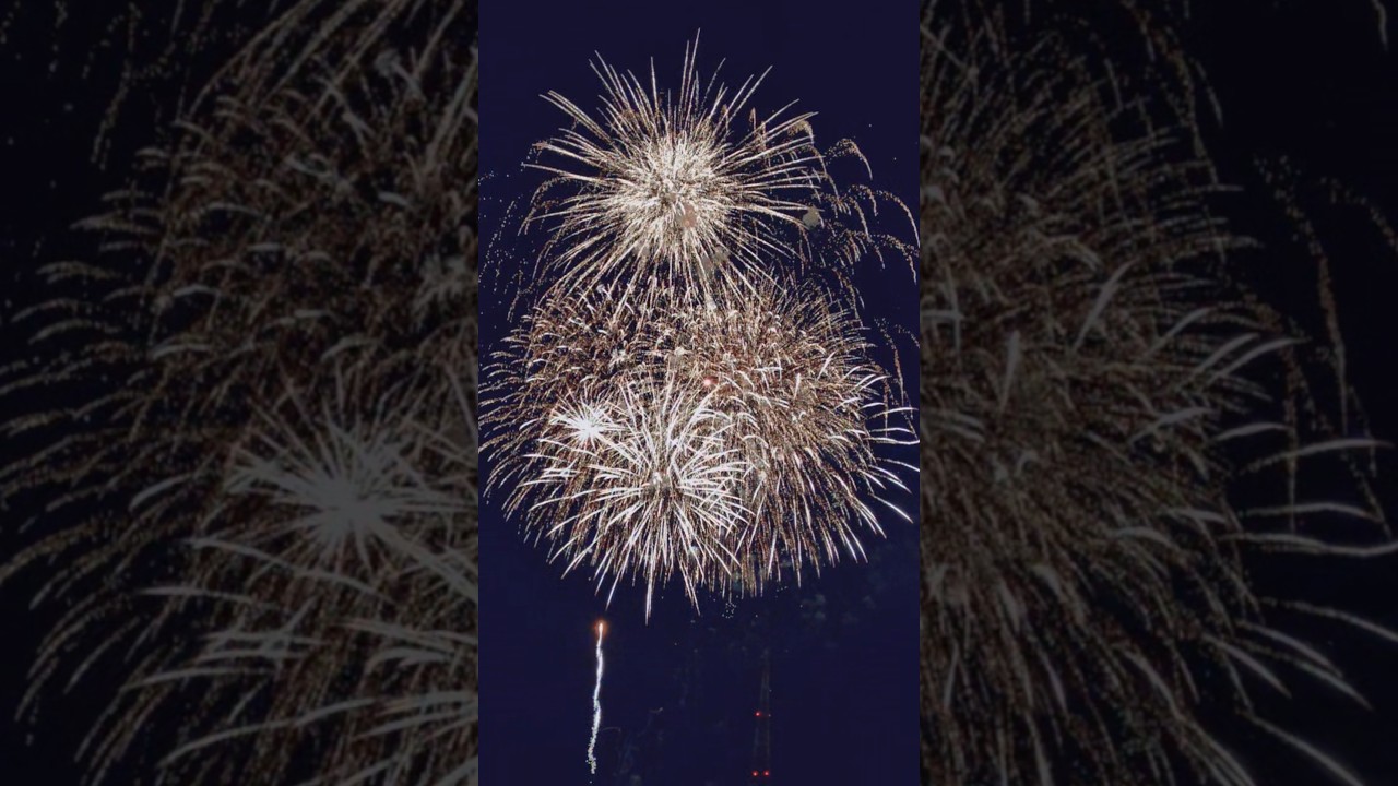 【花火】 #hanabi #japan #firework #お母さん #じいじ