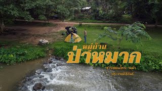 Camping สุดเขตชายแดนไทย-พม่า หมู่บ้านป่าหมาก ประจวบคีรีขันธ์
