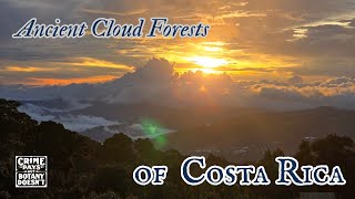 Ancient Cloud Forests of Costa Rica
