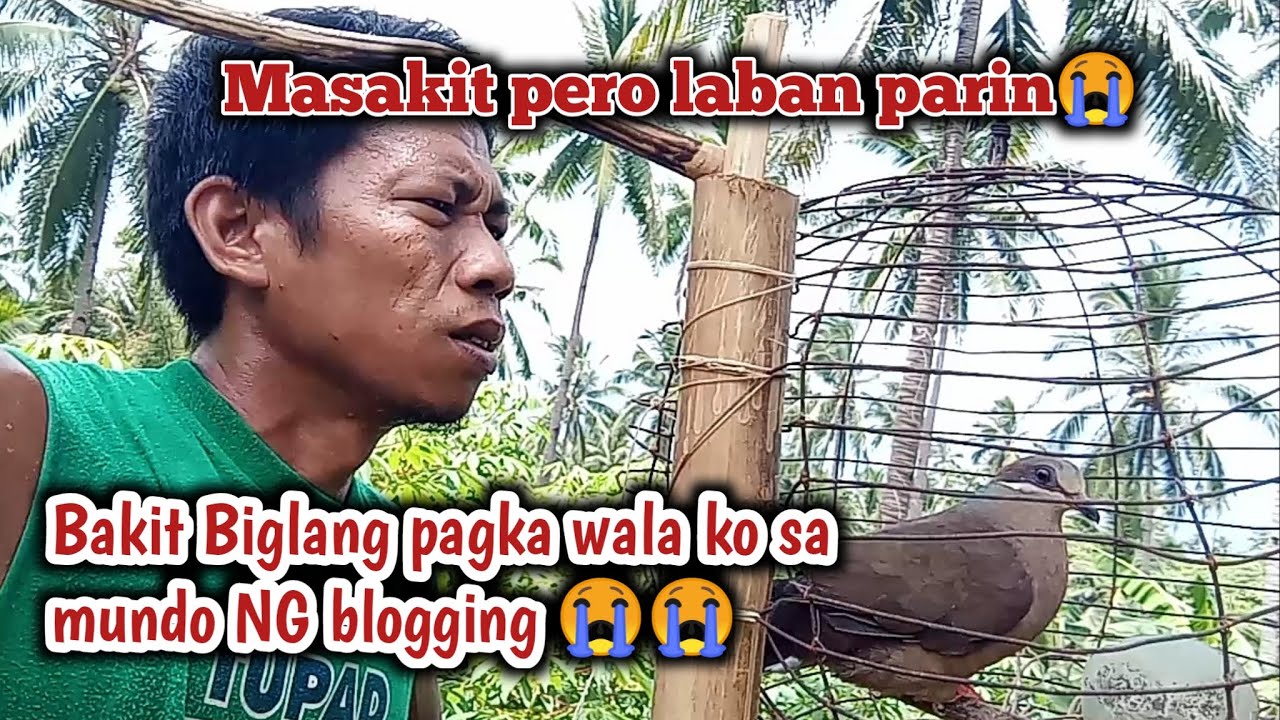 Alimokon hunting 2025 /wild life adventure! #alimokonhunter2025