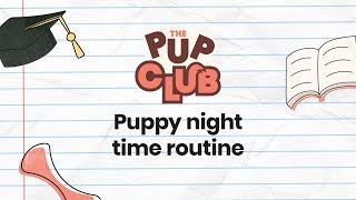 Master Your Puppy’s Nighttime Routine: Sleep & Clean Tips