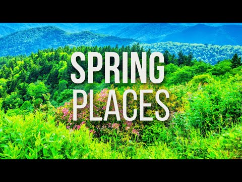 Sperlings Best Places