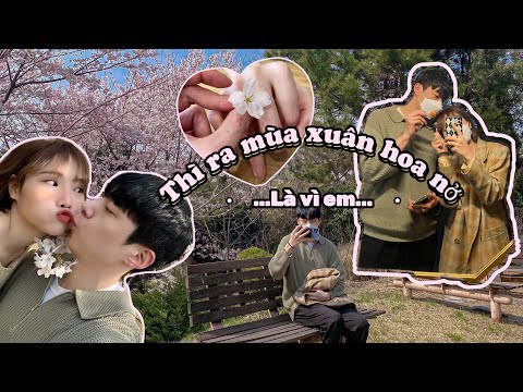 Video Cùng Kem ngắm mùa hoa anh đào đầu tiên ở trường Đại... - youtube