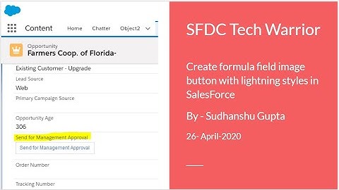 Create formula field image button with lightning styles in SalesForce