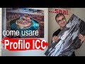 Stampare Senza Sorprese con i Profili ICC – Recensione Fotoquadro Saal Digital