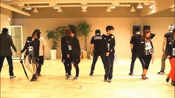 ♥T-ara Cry Cry Dance Practice(Mirrored)♥