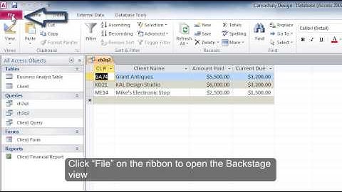 Microsoft Access: How to Use Criteria for a Field Not Included in the Results