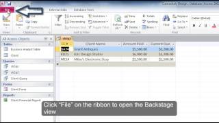 Microsoft Access: How to Use Criteria for a Field Not Included in the Results