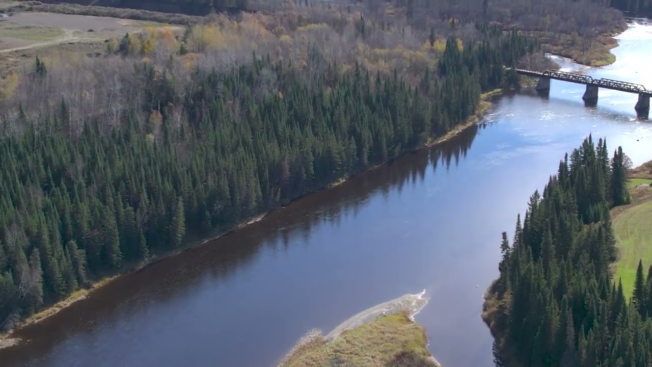 Kam River & Tree Farm Color Graded Oct 20th 1 - YouTube