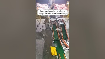 Double-station palletizing of industrial robots. #machine #industrialrobots #automatedproduction