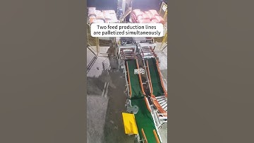 Double-station palletizing of industrial robots. #machine #industrialrobots #automatedproduction