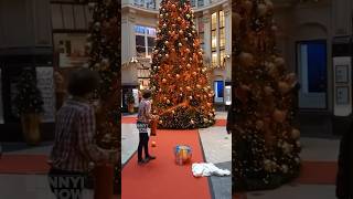 Climate protesters attack Christmas Tree 🎄