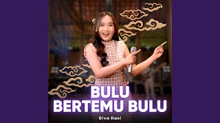 Bulu Bertemu Bulu
